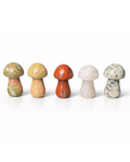 Amelia Jane Handmade Creations set of five 1.5-inch carved crystal mushrooms in Unakite, Red Jasper, and Clear Quartz.